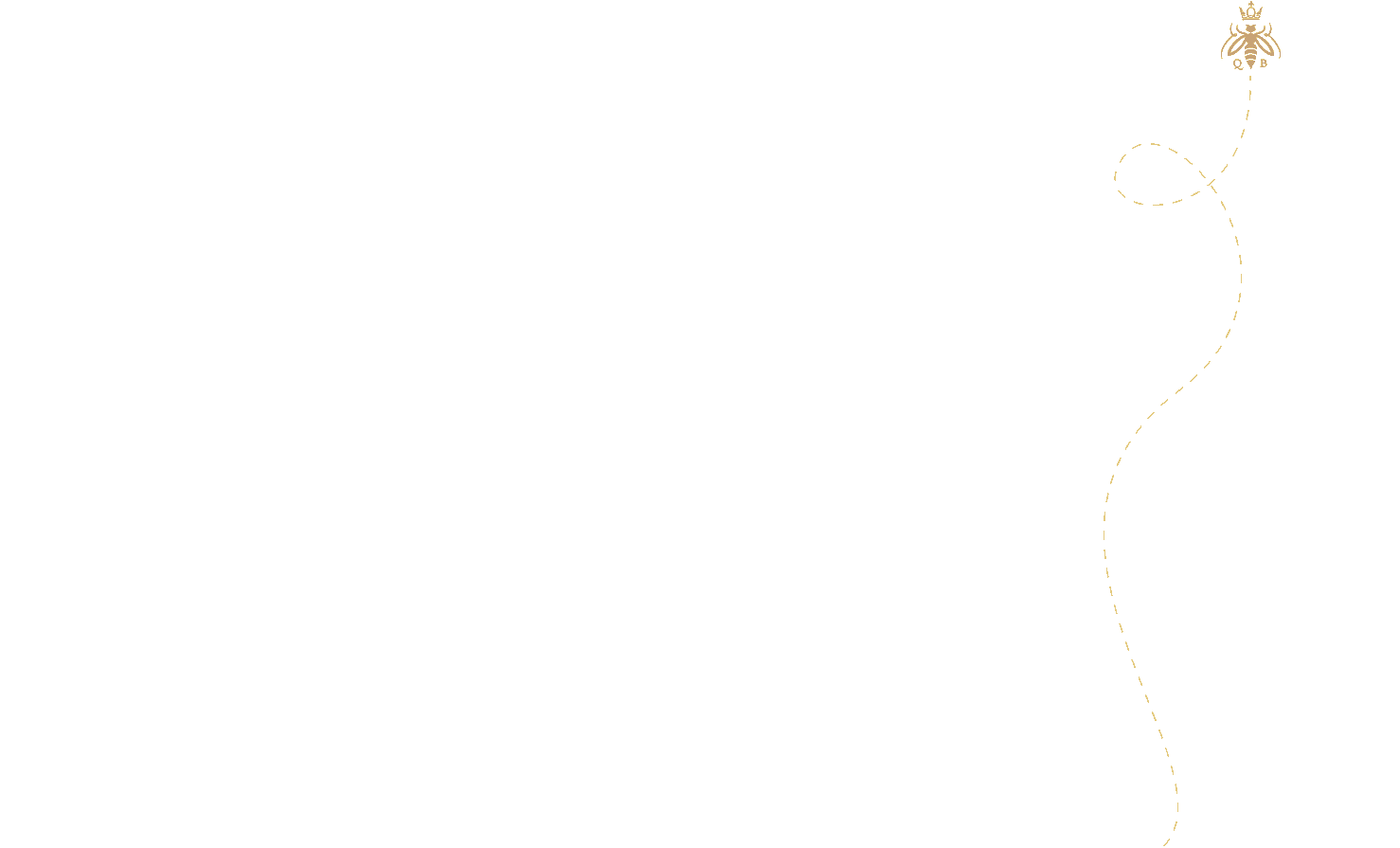 bg-oil-bee-1 bg-oil-bee-1
